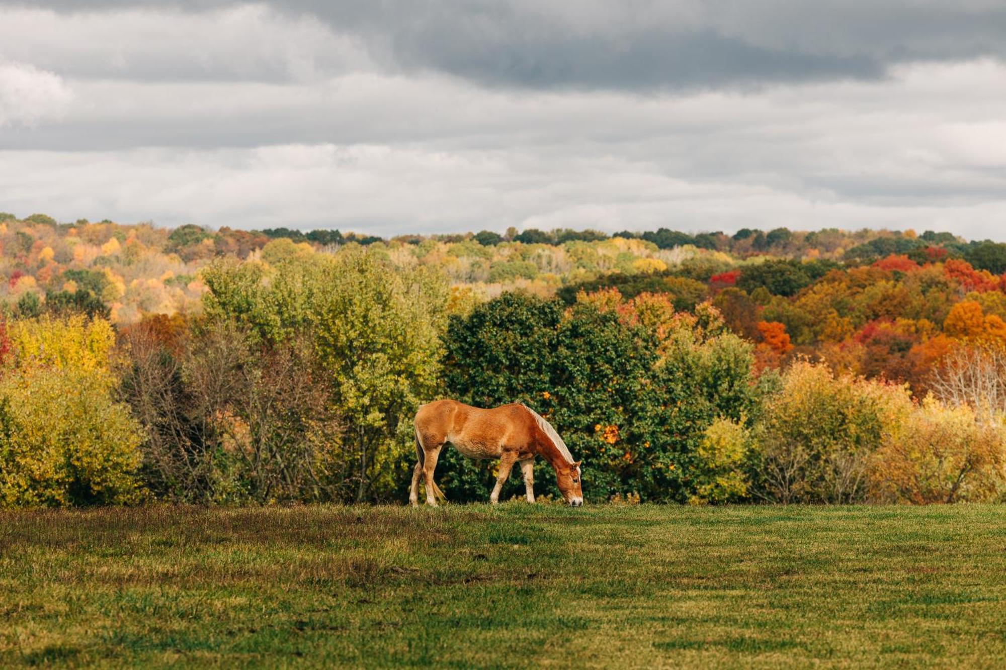 Downtown Escape Great For Large Families & Groups Βίλα Sugarcreek Εξωτερικό φωτογραφία